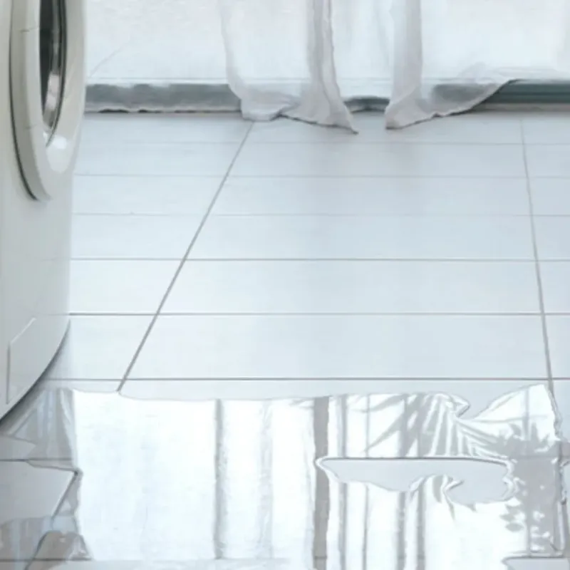 Appliance Leak Cleanup in La Center, KY