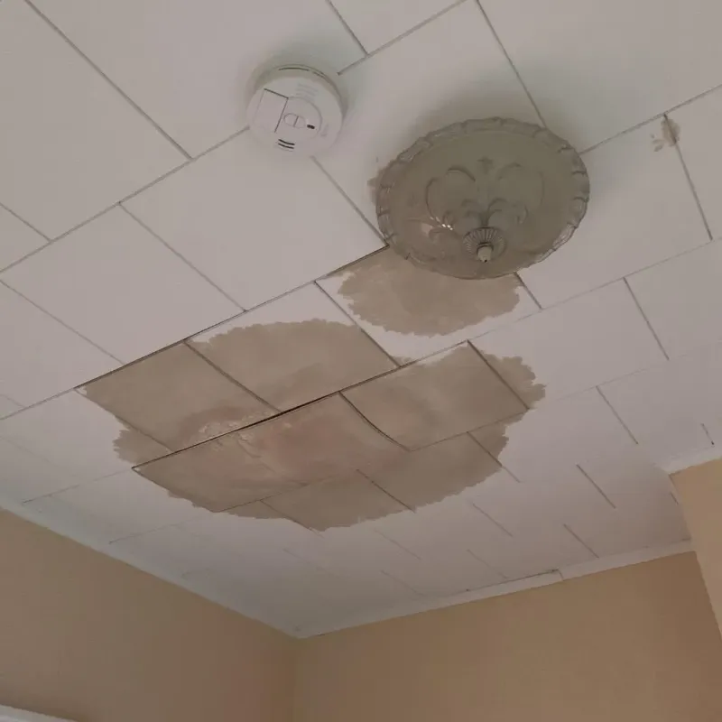 Ceiling Water Damage Repair in La Center, KY
