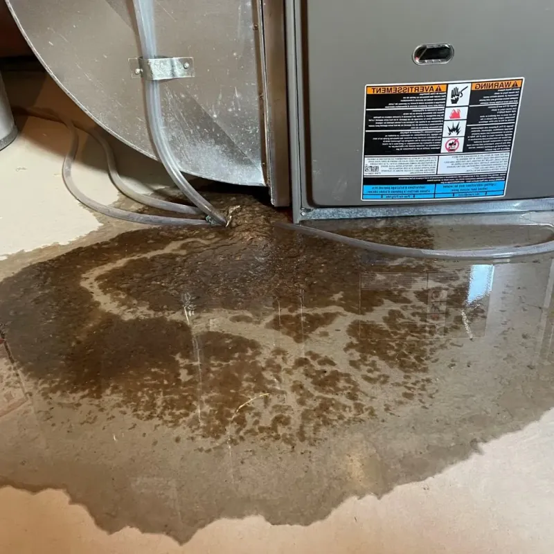 Pipe Burst and Leak Restoration in La Center, KY