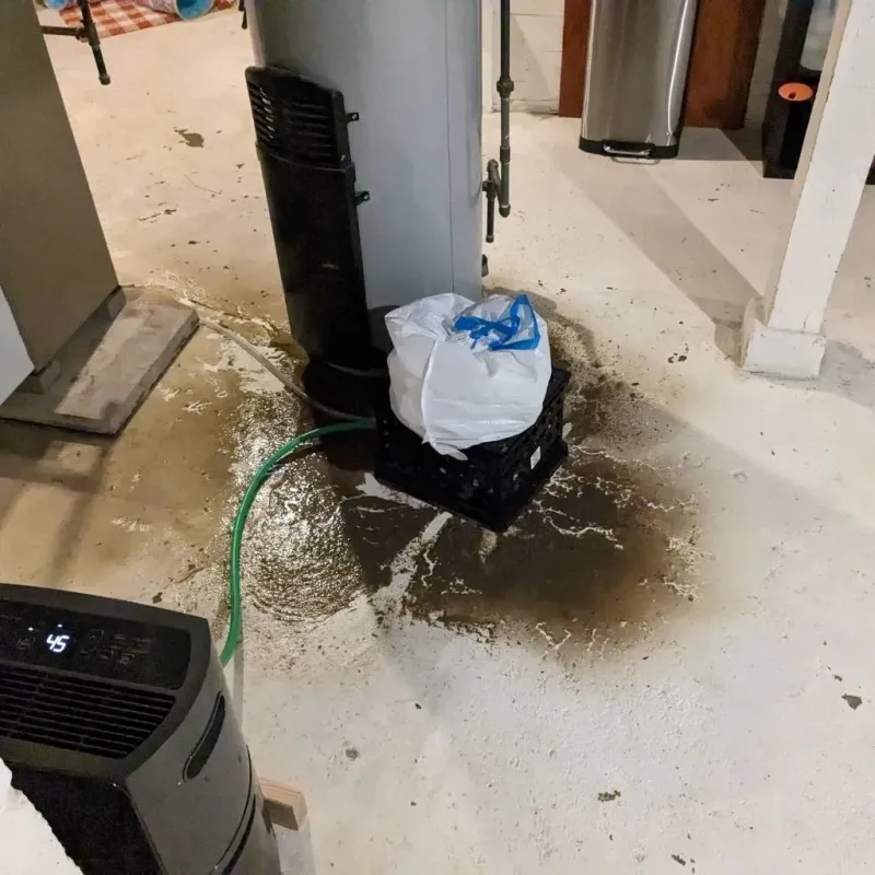 Sewage Backup Cleanup Service in La Center, KY
